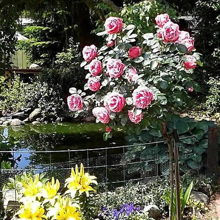 Burs Hotel Loningen